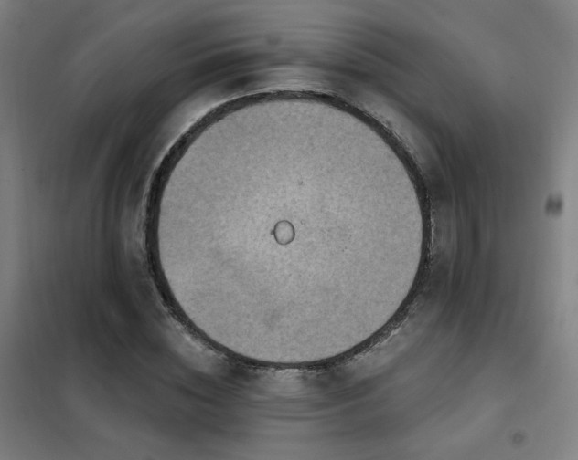 X0000102280828200807251356