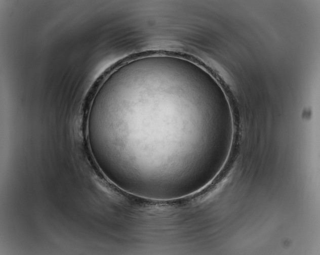 X0000102280830200807251356