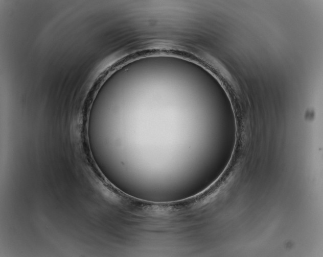 X0000102280831200807251356