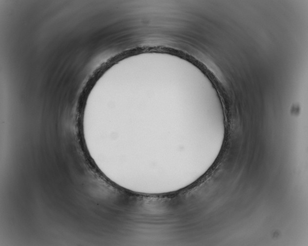 X0000102280832200807251356