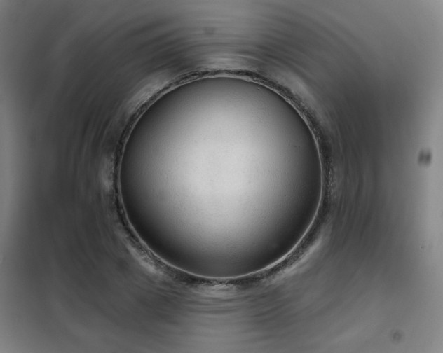 X0000102280833200807251356