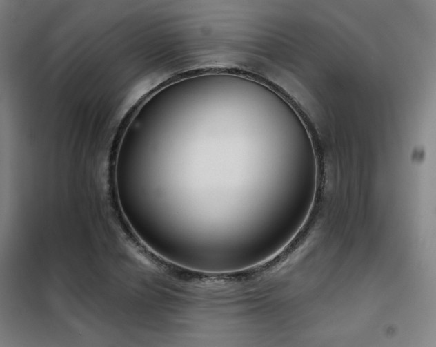 X0000102280834200807251356