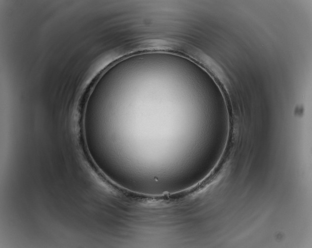 X0000102280835200807251356