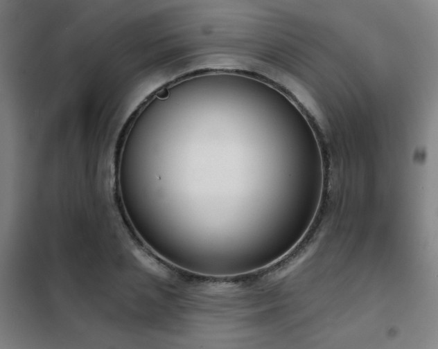 X0000102280837200807251356