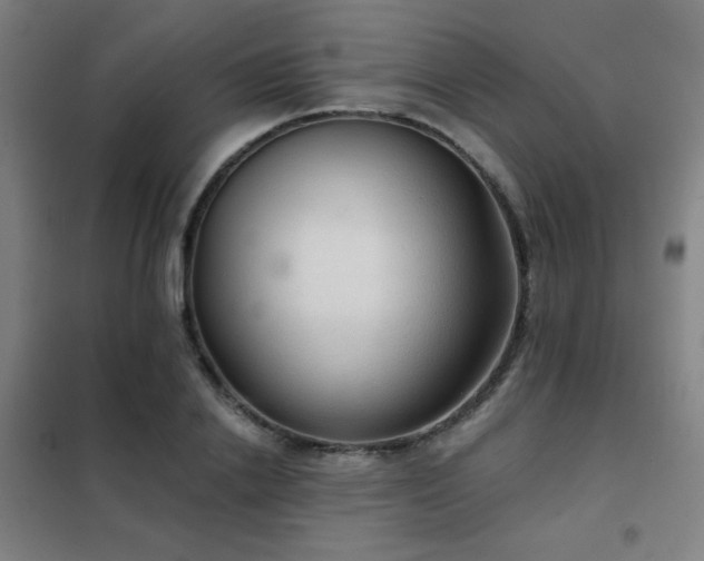 X0000102280838200807251356