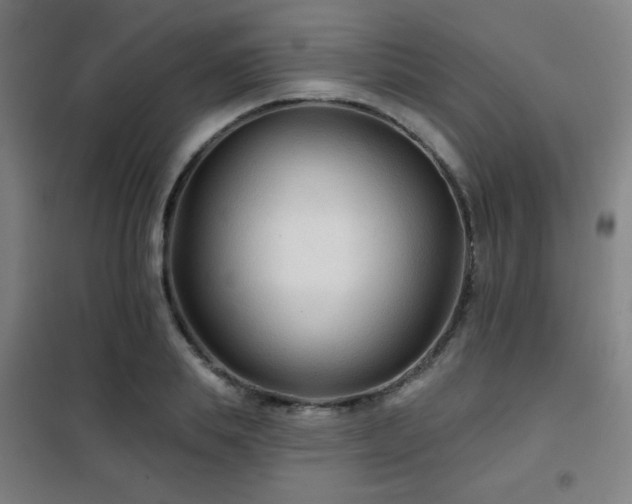 X0000102280839200807251356