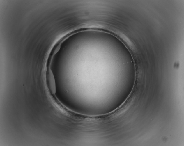 X0000102280840200807251356