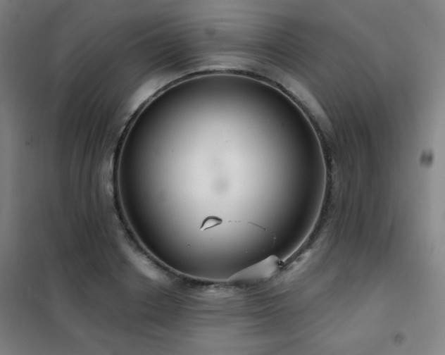 X0000102280842200807251356