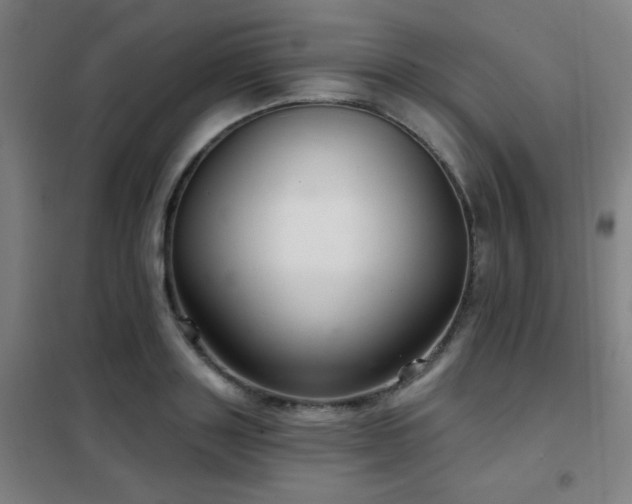 X0000102280843200807251356