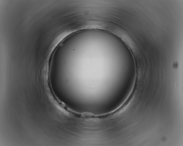 X0000102280844200807251356