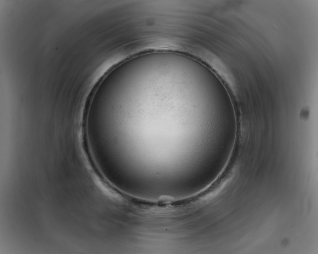 X0000102280845200807251356