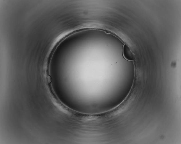 X0000102280846200807251356