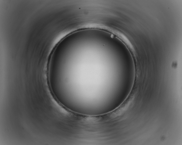 X0000102280847200807251356