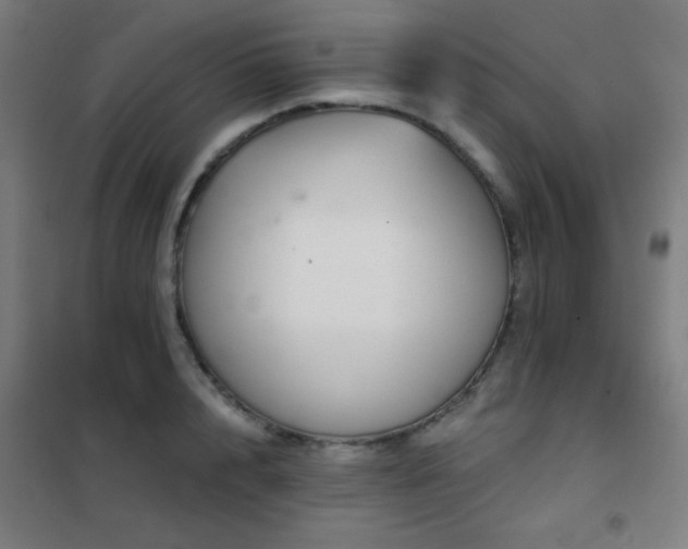 X0000102280848200807251357