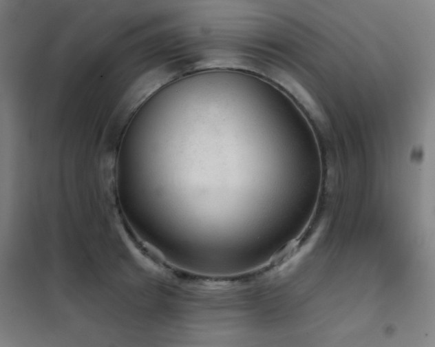 X0000102280849200807251357
