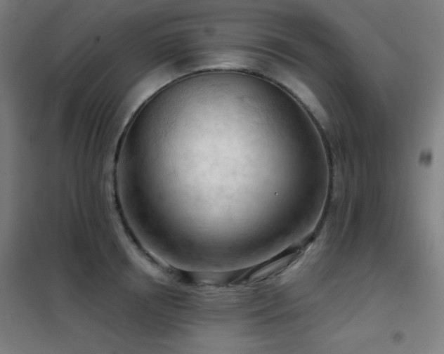 X0000102280850200807251357