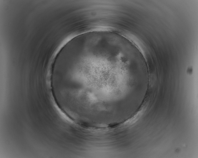 X0000102280851200807251357