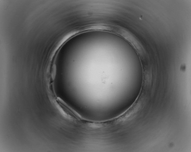 X0000102280852200807251357