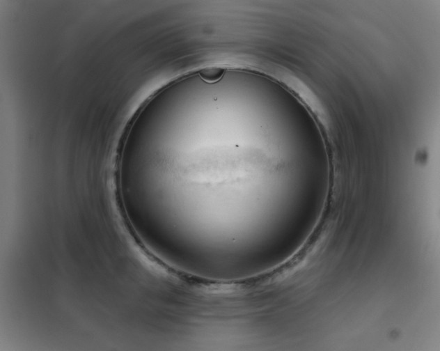 X0000102280853200807251357