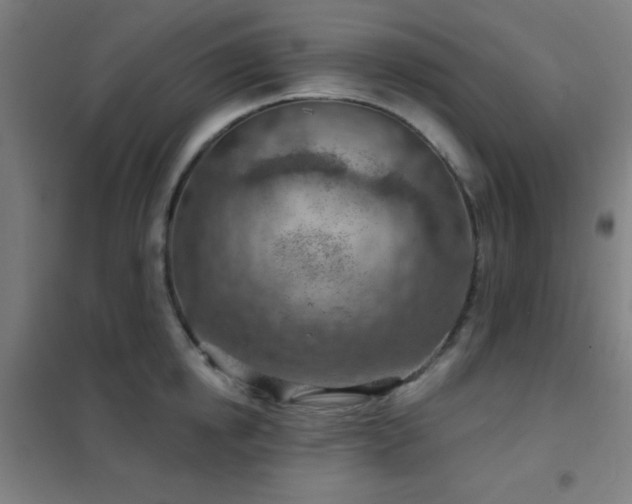X0000102280854200807251357
