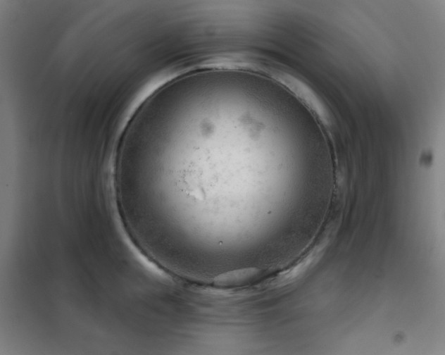 X0000102280855200807251357