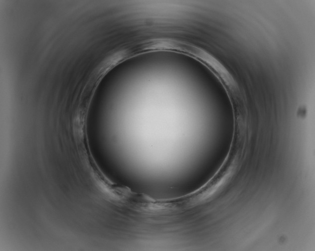 X0000102280857200807251357