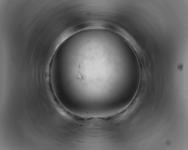 X0000102280858200807251357