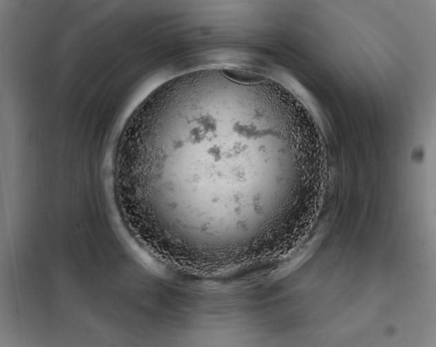 X0000102280859200807251357