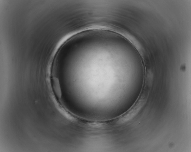 X0000102280862200807251357