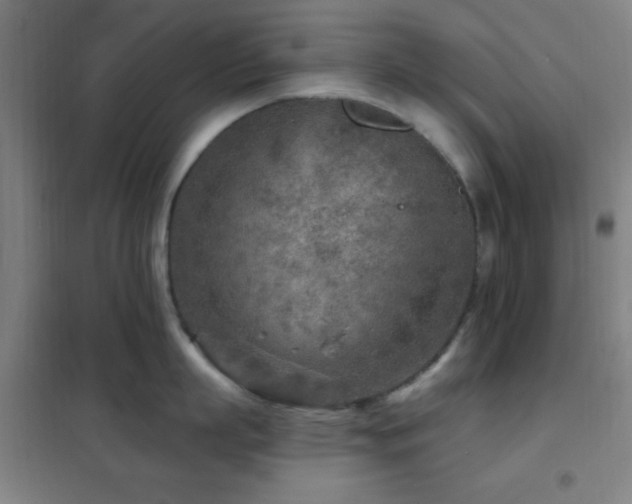 X0000102280863200807251357