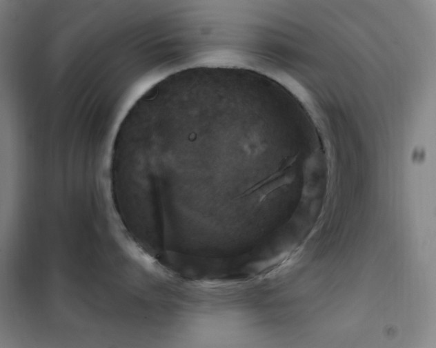 X0000102280864200807251357