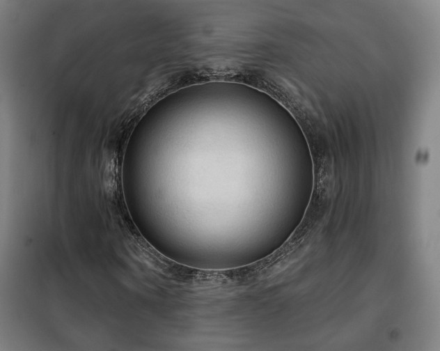 X0000102280866200807251356
