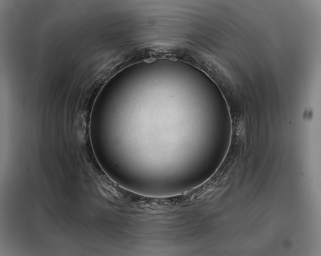 X0000102280868200807251356