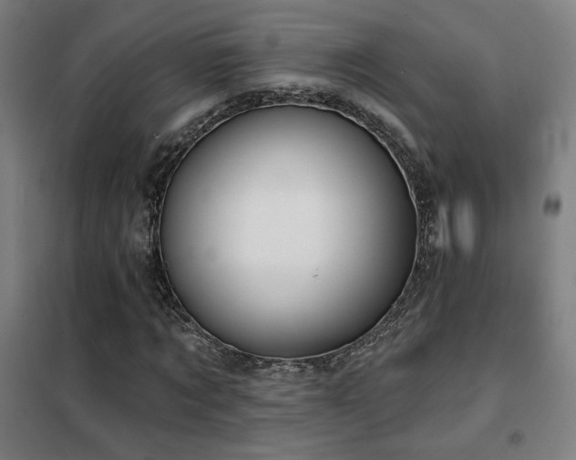 X0000102280869200807251356