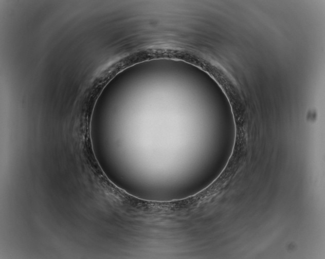 X0000102280870200807251356