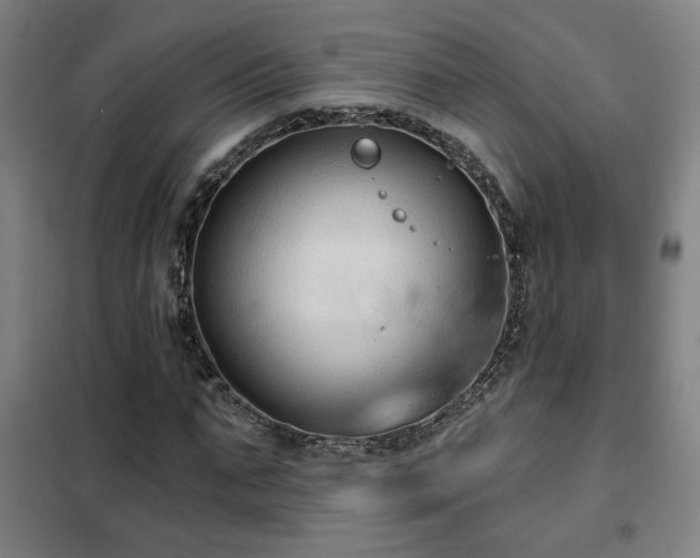 X0000102280871200807251356