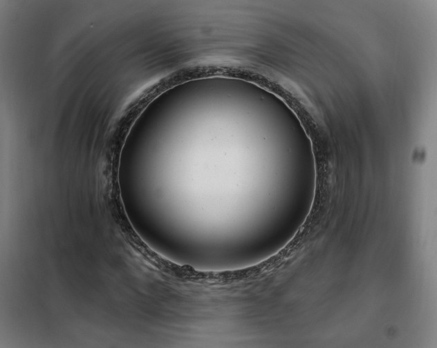 X0000102280872200807251356