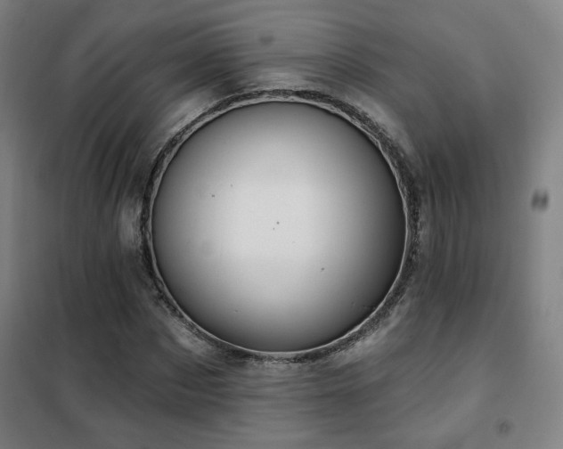 X0000102280873200807251356