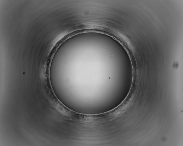 X0000102280875200807251356