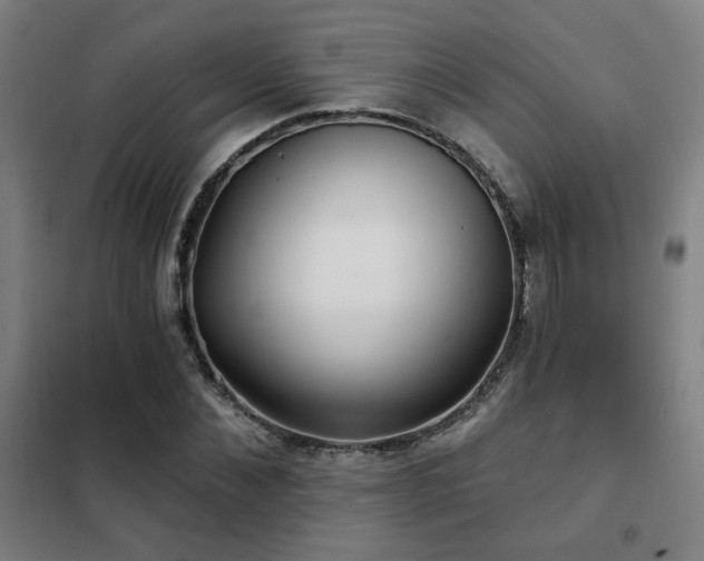 X0000102280876200807251356