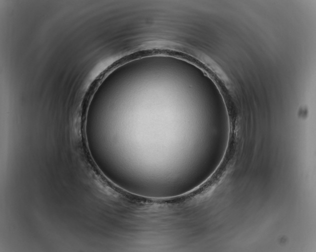 X0000102280877200807251356