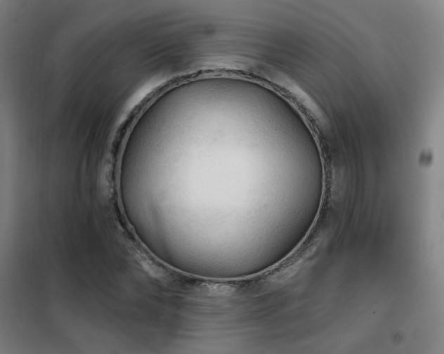 X0000102280878200807251356