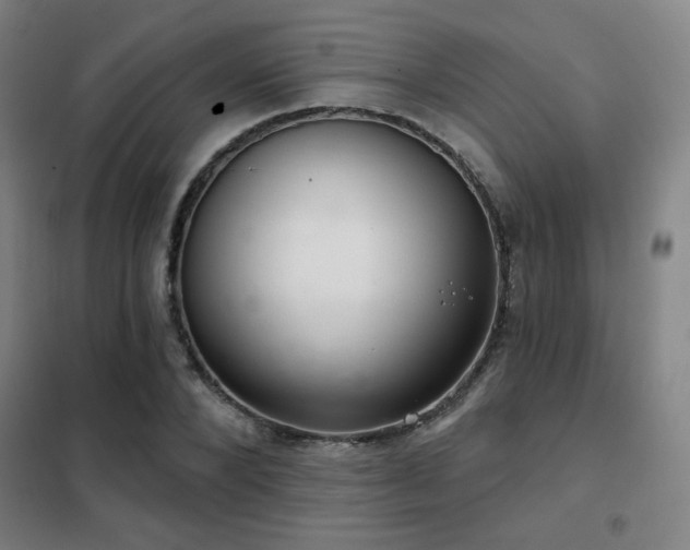 X0000102280880200807251356