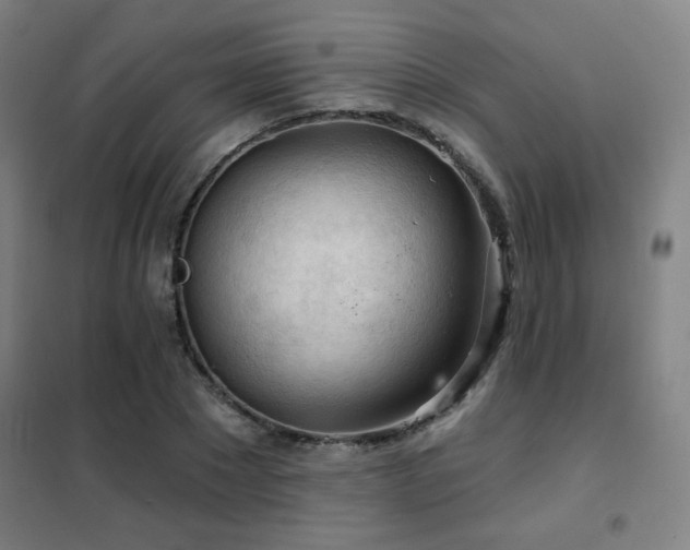 X0000102280881200807251356