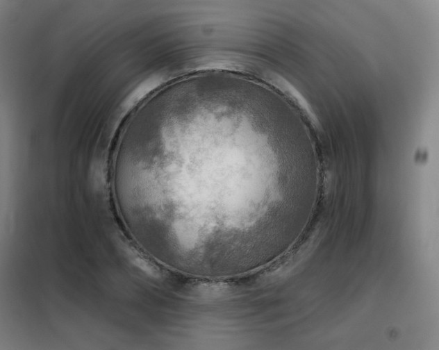 X0000102280882200807251356