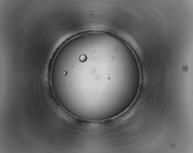 X0000102280883200807251356