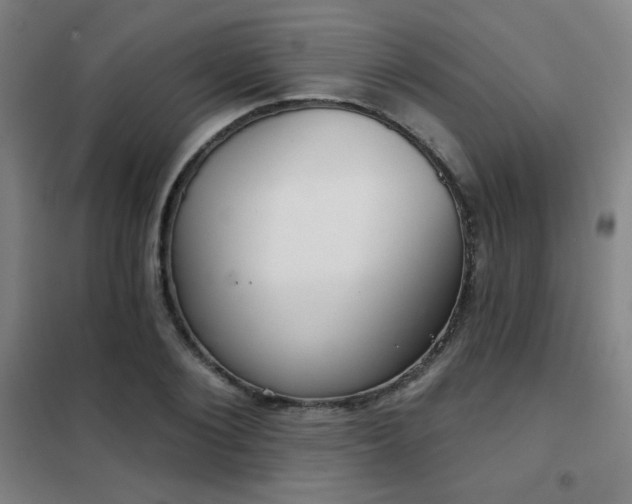X0000102280884200807251356