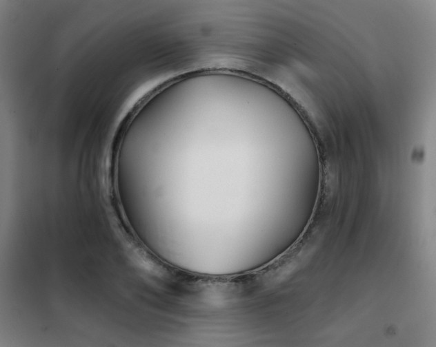 X0000102280886200807251356
