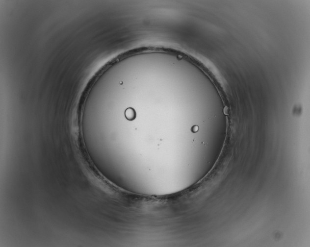 X0000102280887200807251356