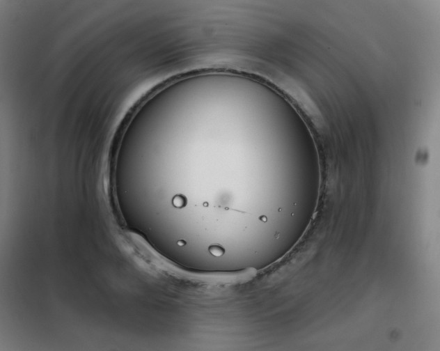 X0000102280888200807251356